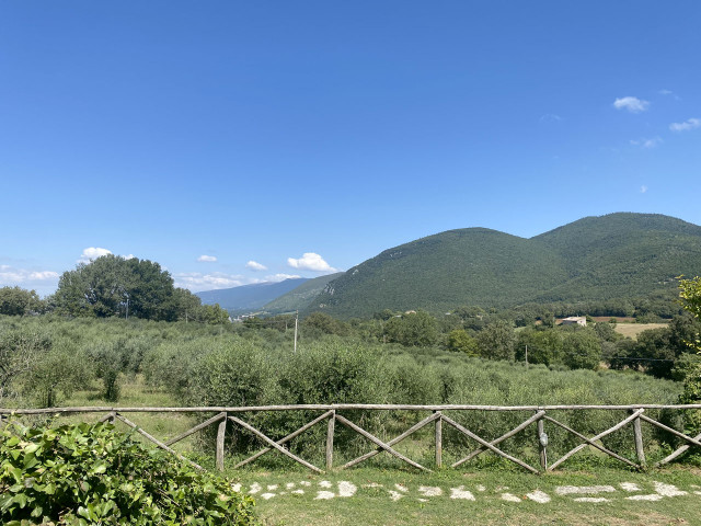 media.Gallery-Olio-2-La-Perticara