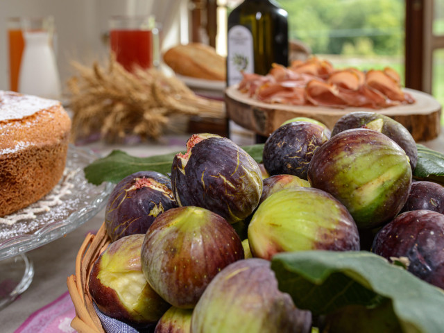 media.Gallery-Colazione6