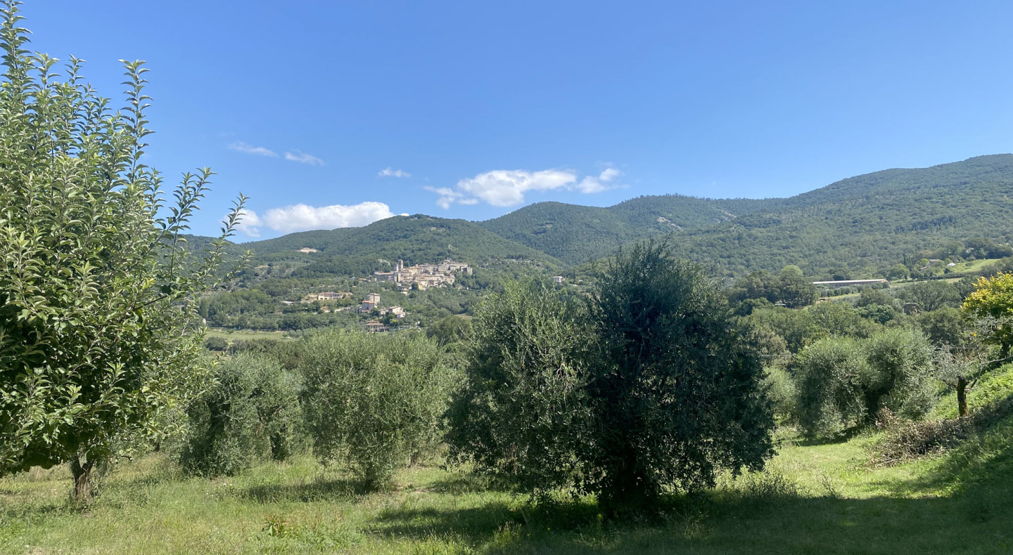 media.Slide-Dove-siamo-1-La-Perticara