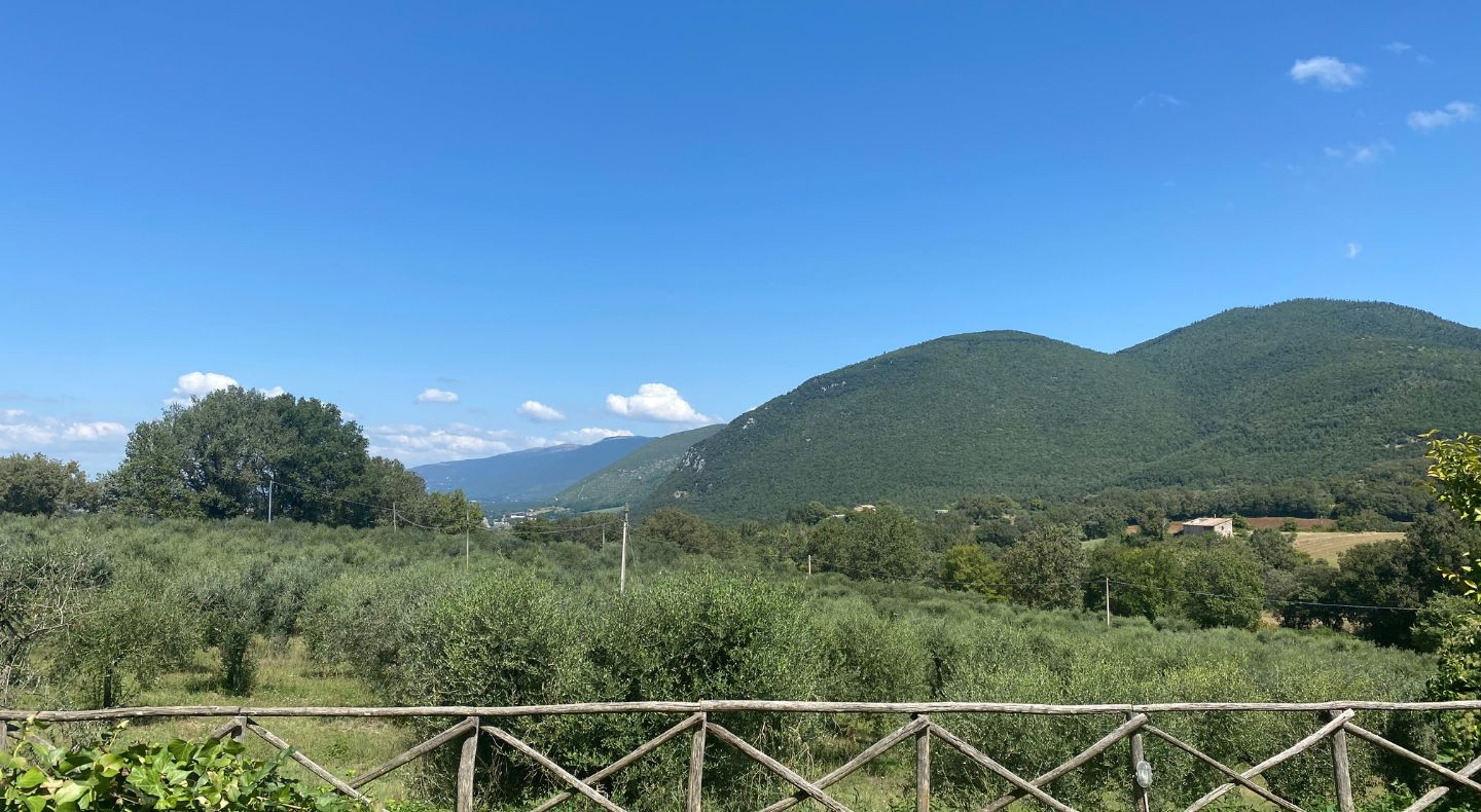 media.agriturismo-la-perticara-offerte-sito