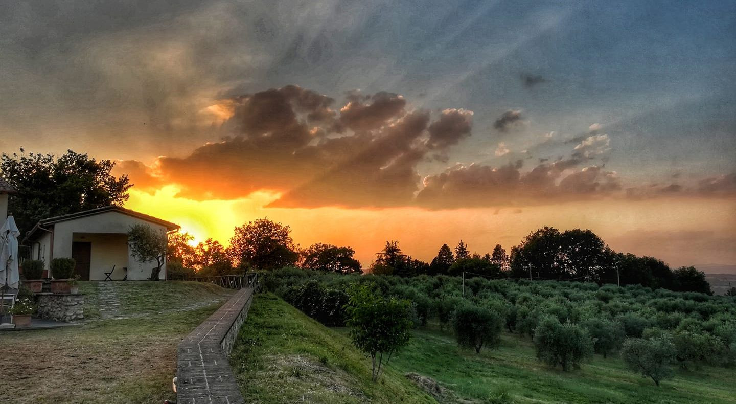 media.foto-offerte-sito-La-perticara (2)